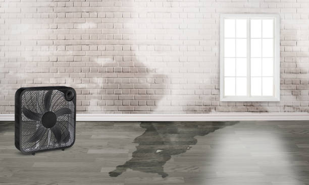 Best 24-hour water damage restoration  in Wauconda, IL