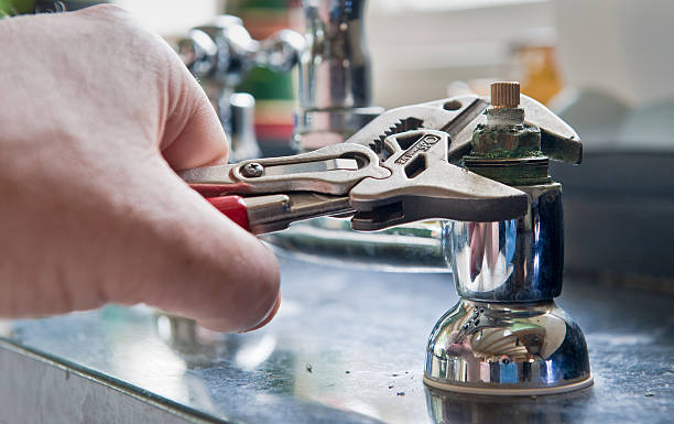 Best Professional water damage repair  in Wauconda, IL