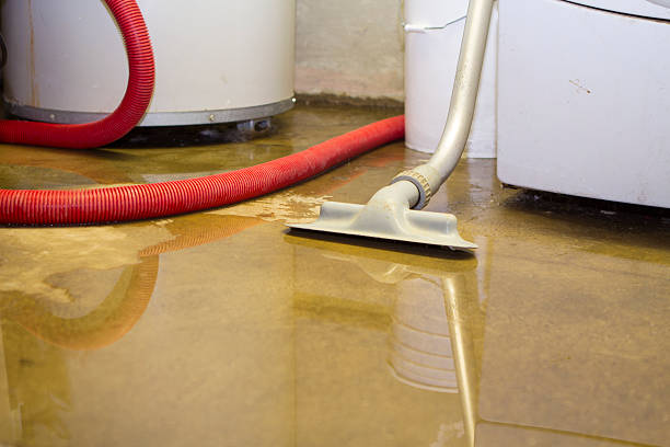 Best Water damage restoration near me  in Wauconda, IL