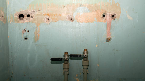 Best Flood damage cleanup  in Wauconda, IL