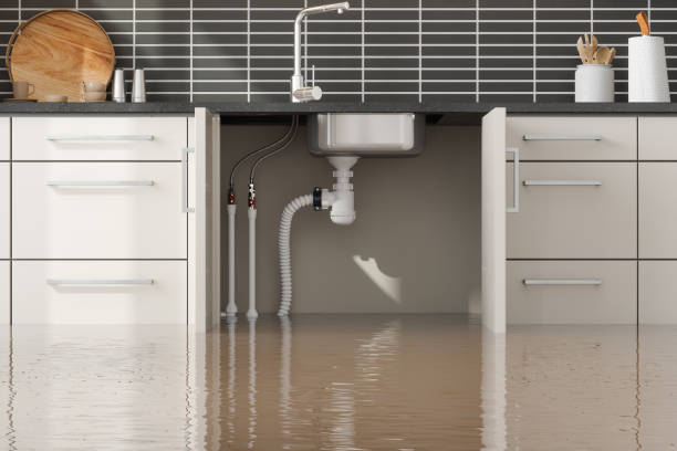 Best 24/7 water damage repair  in Wauconda, IL