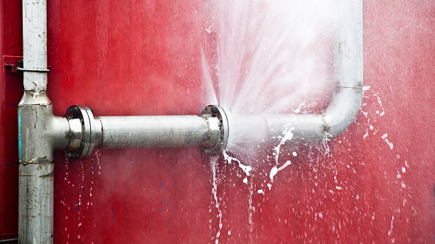 Best Mold removal after water damage  in Wauconda, IL
